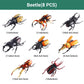 🐞 Giocattoli da assemblare a forma di insetti e animali🎄🎁