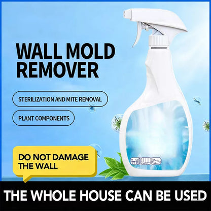 Spray rimuovi muffa altamente efficace