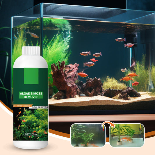 Rimuovi Alghe e Muschio per Acquario - Purificazione Sicura dell'Acqua