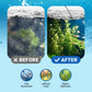 100 ml Chiarificatore d'Acqua per Acquario Potente