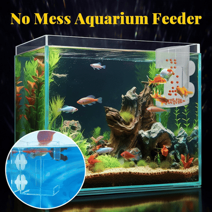 Anello e Vassoio di Alimentazione per Acquario