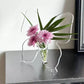 Vaso decorativo trasparente a forma di farfalla