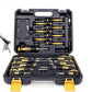Set di 42 Cacciaviti Magnetici con Custodia