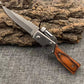 Coltello Pieghevole Portatile in Acciaio Inox per Esterni