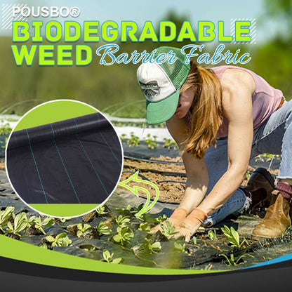 🌱 Telo Anti-Erbacce per Giardino, Orto & Vialetti – Blocca le Infestanti | Traspirante & Permeabile | Facile da Tagliare | 170 g/m² | 5 Misure 🪴✨