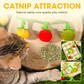 🐱 ACQUISTA 2, OTTIENI 1 GRATIS! 🎉 Giocattolo Interattivo per Gatti – A Forma di Frutta, Movimento del Cordoncino & Nepeta Eccitante 📦