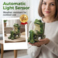 💯2026 Saldi Speciali🐸Ornamento a forma di rana su sedia a dondolo alimentato ad energia solare🍃