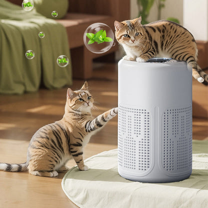 Purificatore d'Aria per Casa con Filtro
