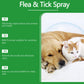 🍃Spray naturale contro pulci e zecche per cani e gatti🐾 Proteggi il tuo amato animale domestico dai parassiti