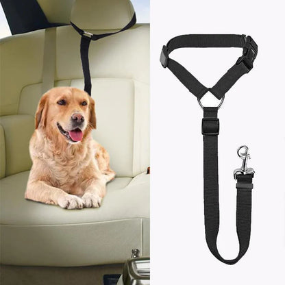 Cintura di sicurezza regolabile per cani