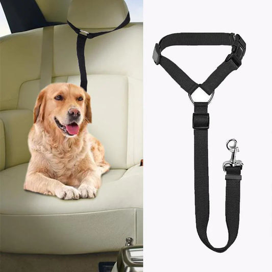Cintura di sicurezza regolabile per cani