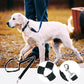Cintura di sicurezza regolabile per cani