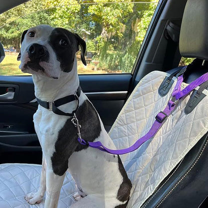 Cintura di sicurezza per auto e guinzaglio per cani 2 in 1