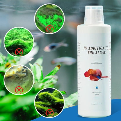 ⏳Sconto del 50% per un periodo limitato⏳Controllo efficace delle alghe per acquari