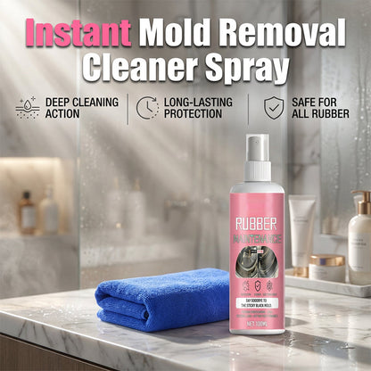 Spray Detergente per Muffa e Muffe
