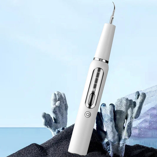 Kit Pulizia Denti Professionale a Casa - Rimuovi Placca e Tartaro Elettrico con Luce LED, 5 Modalità Regolabili, Ricaricabile USB con Testine di Ricambio e Strumenti per Igiene Orale