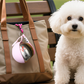 🟐 Bottiglia d'acqua pieghevole per animali domestici – Portatile, a tenuta stagna e perfetta per i viaggi ✨💧