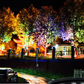 🌳💡 Illuminazione ad Anello per Alberi – Faretti da Esterno Impermeabili per Alberi, Colonne e Giardino