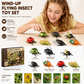 Set di Insetti Alati a Molla con Schede Educative