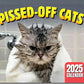 🐱 Calendario dei Gatti – 12 Mesi di Umorismo Felino