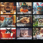 🐱 Calendario dei Gatti – 12 Mesi di Umorismo Felino